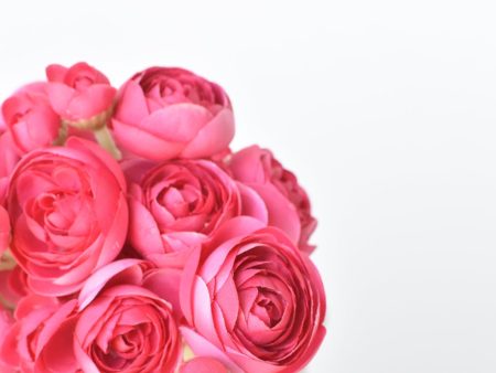 10.5  Faux Dark Pink Ranunculus Stem Bundle Online Sale