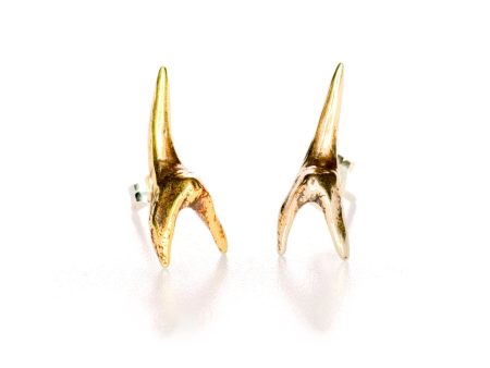 Small Shark Tooth Stud Earrings Cheap