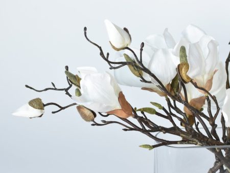 Slim White Magnolia in Glass Arrangement Online