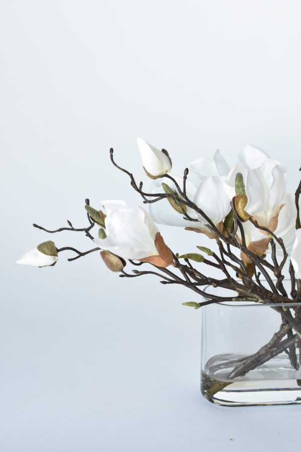 Slim White Magnolia in Glass Arrangement Online