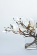 Slim White Magnolia in Glass Arrangement Online