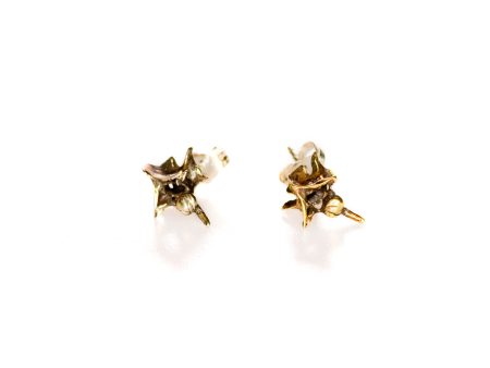 Snake Vertebrae Stud Earrings Cheap