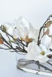 Slim White Magnolia in Glass Arrangement Online