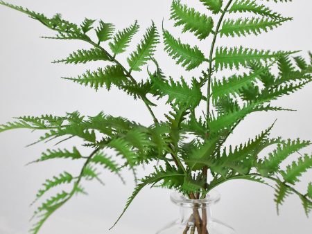 14  Faux Forest Fern in Glass Vase Online now