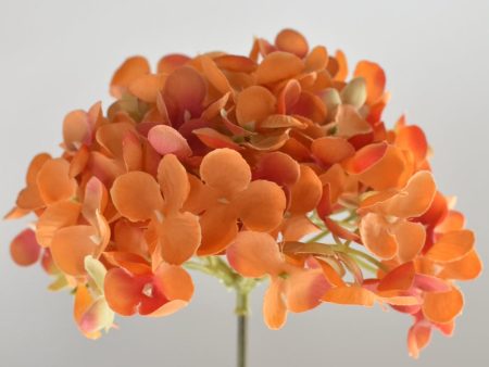 $5 Fall Hydrangea Head Filler Stem Online Hot Sale