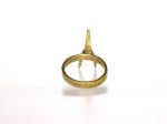 Shark Tooth Ring, Small Fashion