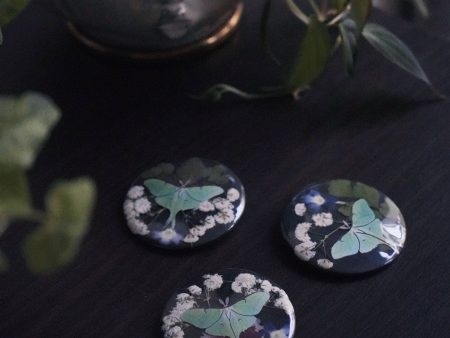 Nocturnal Bloom Button Sale