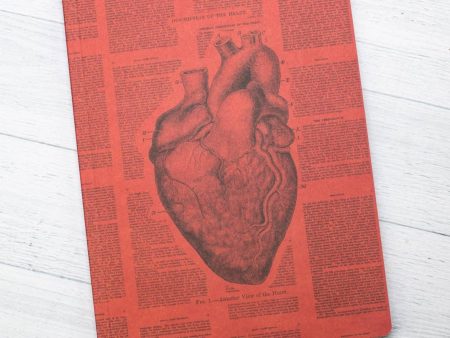 Anatomical Heart Softcover Notebook Sale