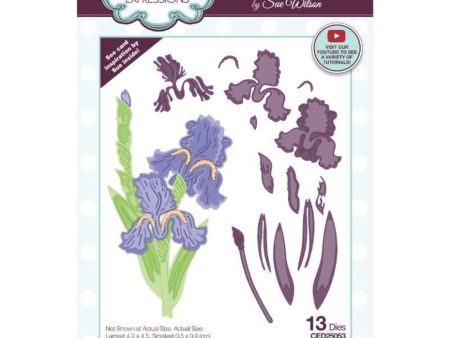 Creative Expressions Sue Wilson Sue Wilson Craft Die Layered Flowers Collection Iris (CED25053) Online Sale