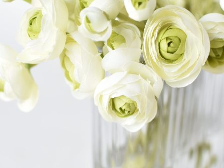 White Green Ranunculus Arrangement For Discount