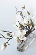 Slim White Magnolia in Glass Arrangement Online