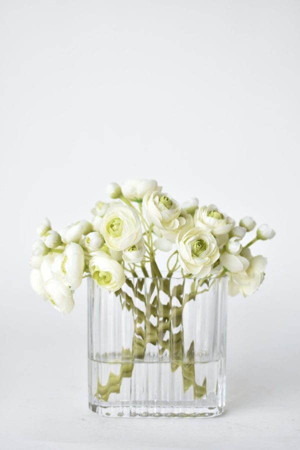 White Green Ranunculus Arrangement For Discount