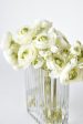 White Green Ranunculus Arrangement For Discount