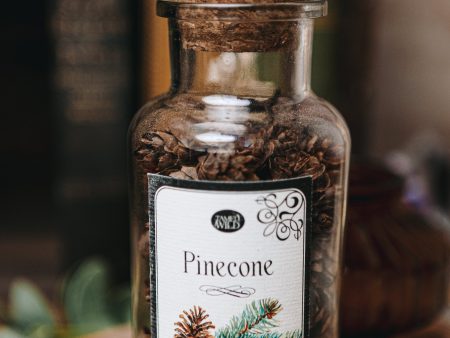 Pine Cones Altar Jar Fashion