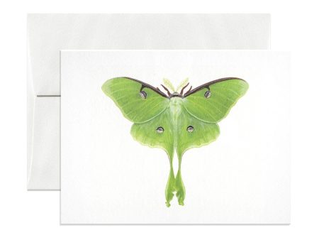 Luna Moth Greeting Card For Sale