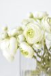 White Green Ranunculus Arrangement For Discount