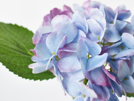 10  Faux Lavender Purple Hydrangea Stem Online now