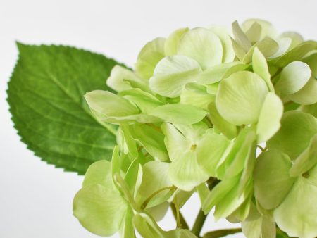 10  Faux Green Hydrangea Stem Discount