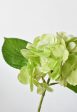 10  Faux Green Hydrangea Stem Discount