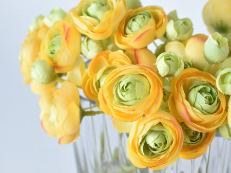 Yellow Green Ranunculus Arrangement For Discount