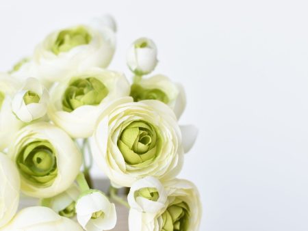 10.5  Faux White + Green Ranunculus Stem Bundle Online Hot Sale