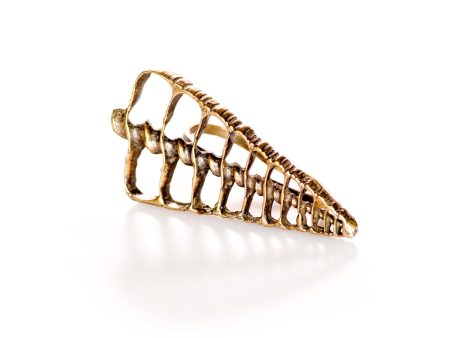 Double Knuckle Shell Ring Fashion