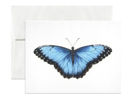 Blue Morpho Greeting Card Online Hot Sale