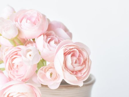 10  Faux  Pale Pink Ranunculus Stem Bundle Sale