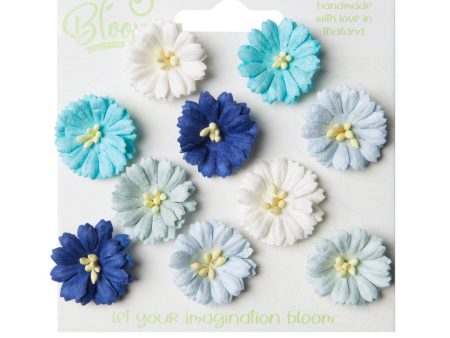 Bloom flowers Cosmos aqua and blue B150 Supply