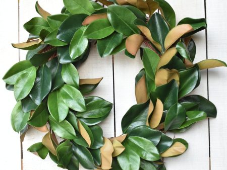 27  Faux Magnolia Leaf Wreath Sale