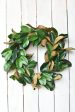 27  Faux Magnolia Leaf Wreath Sale