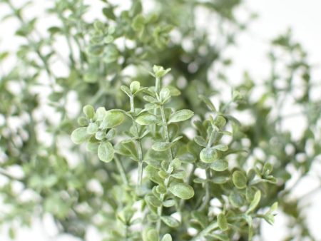 9  Faux Thyme Bush Online Sale