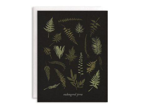 Endangered Ferns Boxed Cards   Set of 8 Online Sale