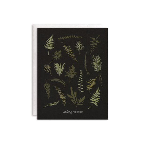 Endangered Ferns Boxed Cards   Set of 8 Online Sale