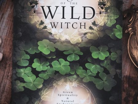 Craft of the Wild Witch For Sale