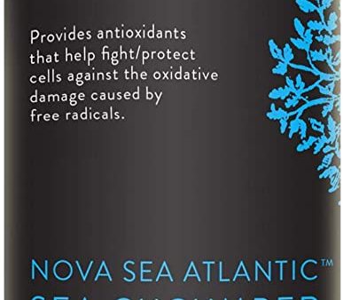 Nova Sea Atlantic Sea Cucumber (500mg) - 120 Capsules Online Hot Sale