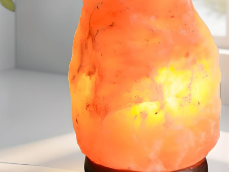 Sundhed Pure and Natural Himalayan Salt Lamp For Sale