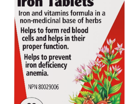 Salus Floradix Iron Tablets Hot on Sale